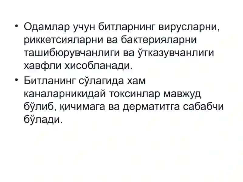 Педикулёз (битлаш) 3