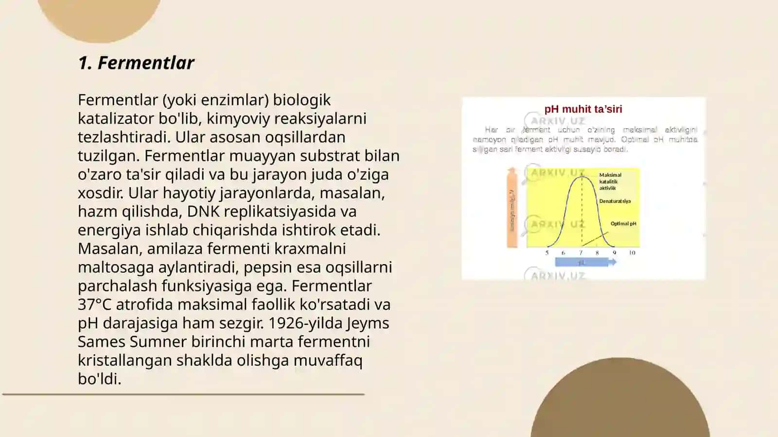 Fermentlar 3
