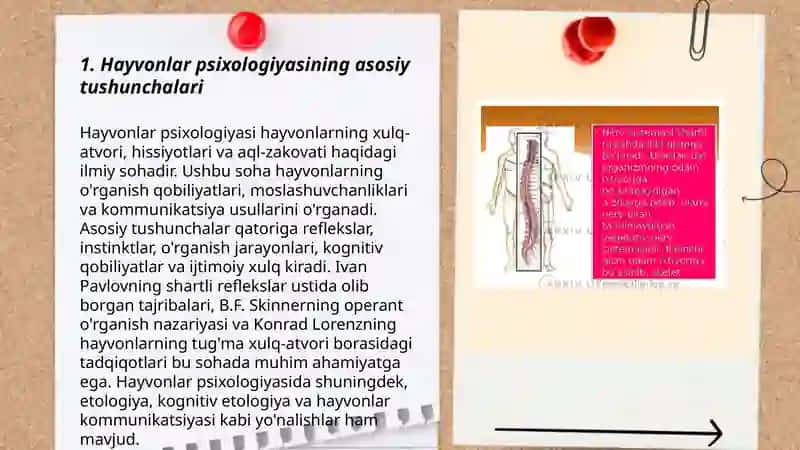 Hayvonlar psixik faoliyatining umumiy tavsifi 3
