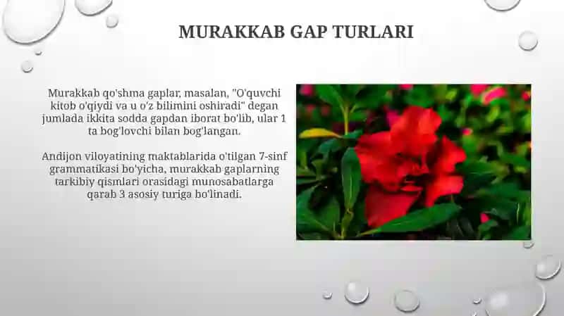 Murakkab Gap Turlari 3