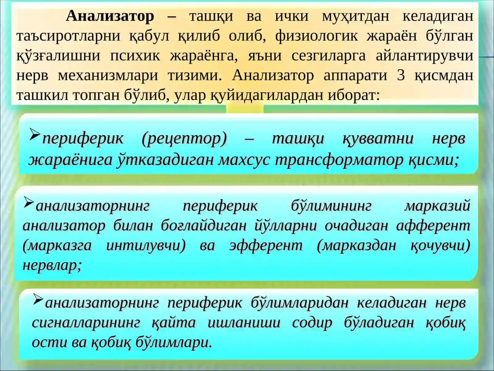 Сезги 3