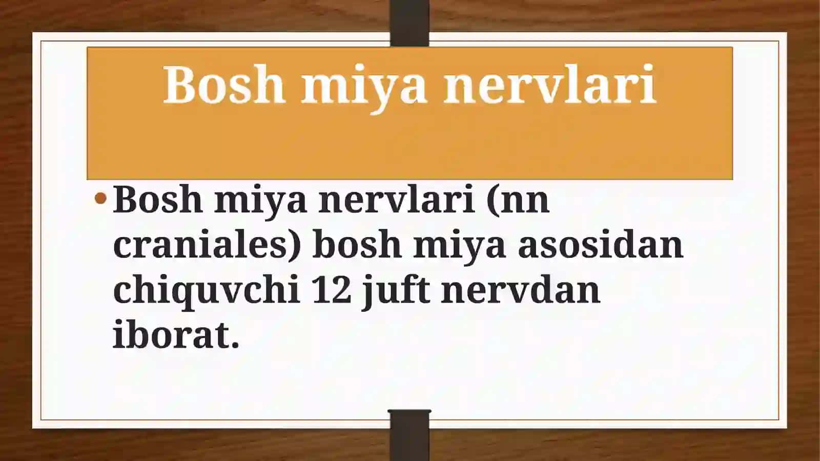 Bosh  miya nervlari 3