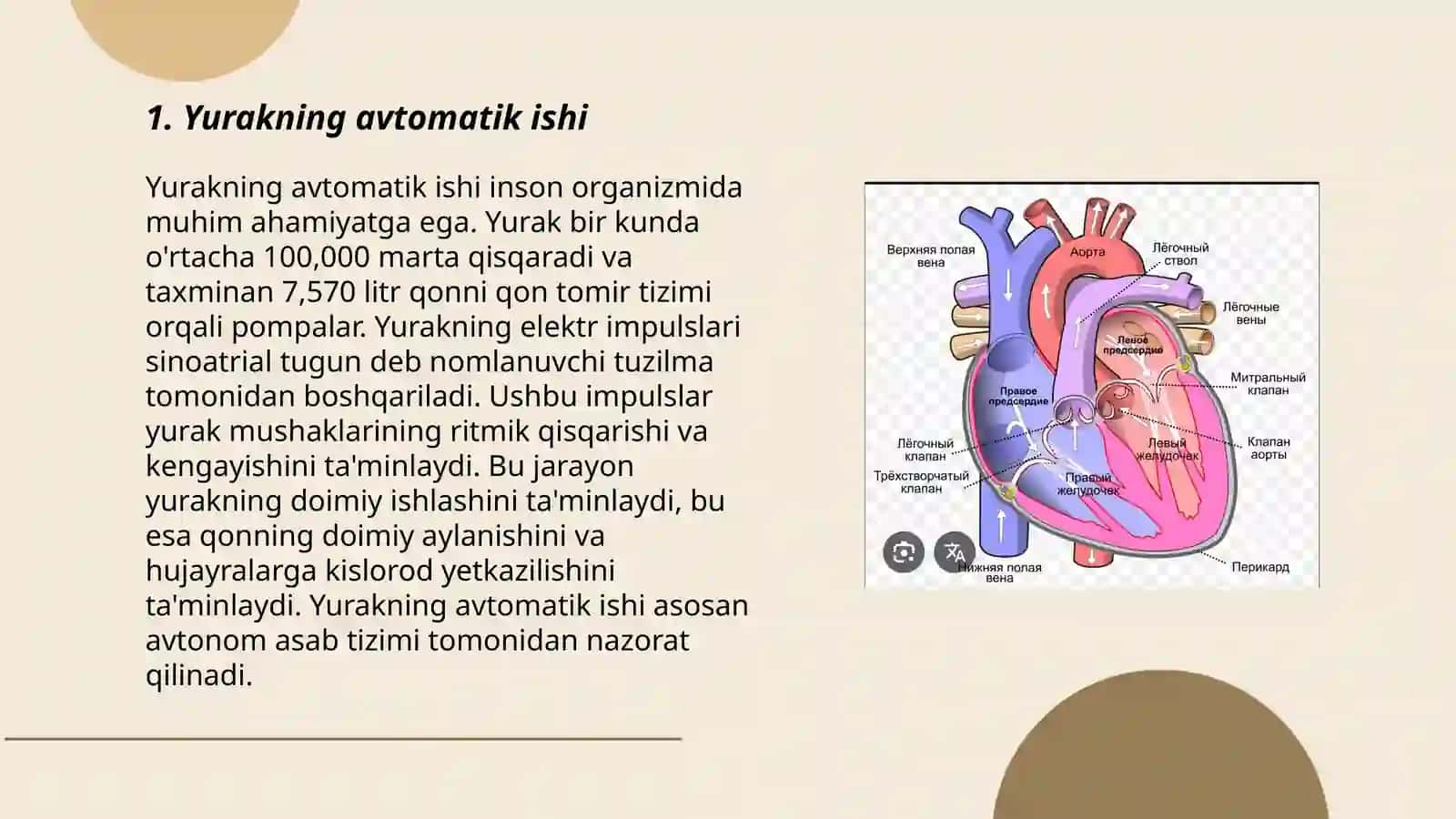 Yurakning oʻtkazuvchi tizimi. Yurak avtomatizmi 3