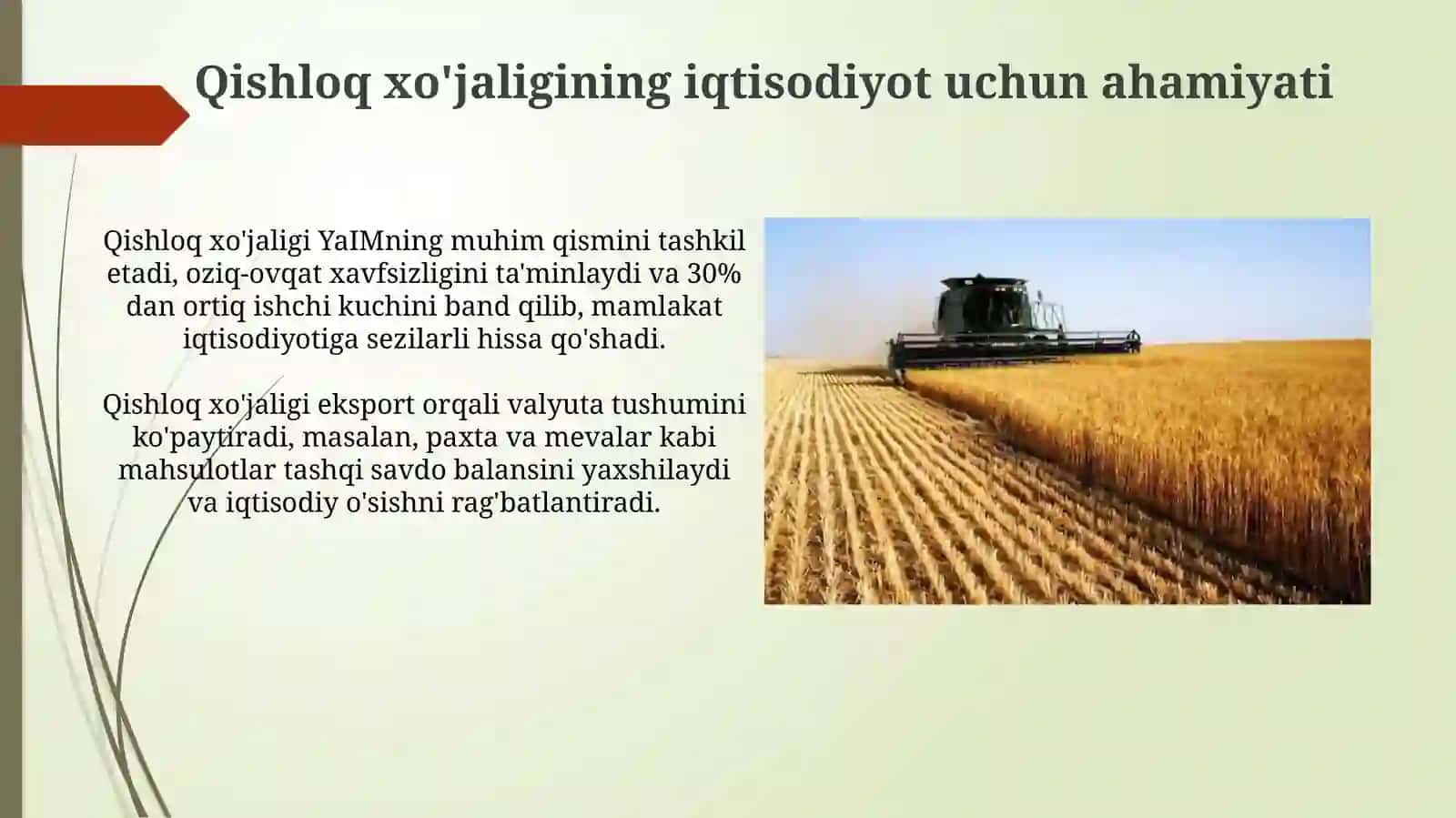 O'zbekiston iqtisodiyotida qishloq xo'jaligi va avtomobil sanoatining o'rni 3