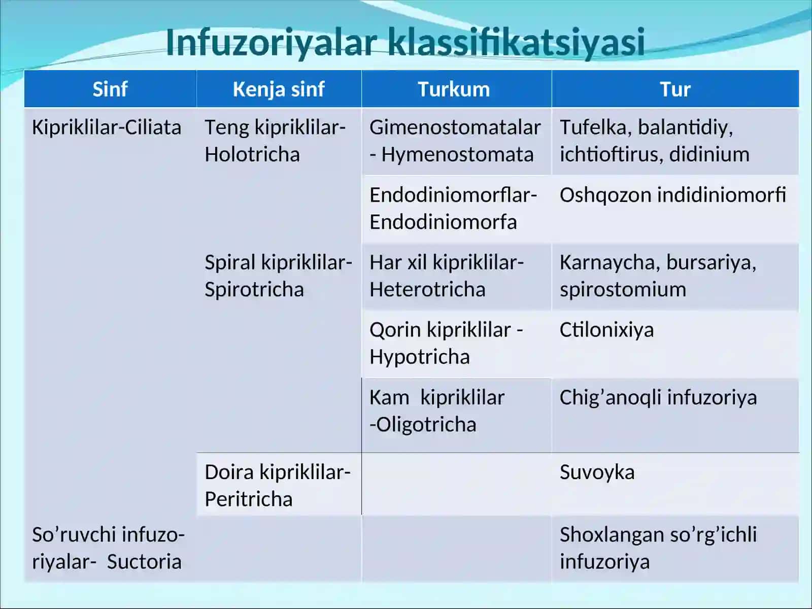 Infuzoriyalar tipi 3