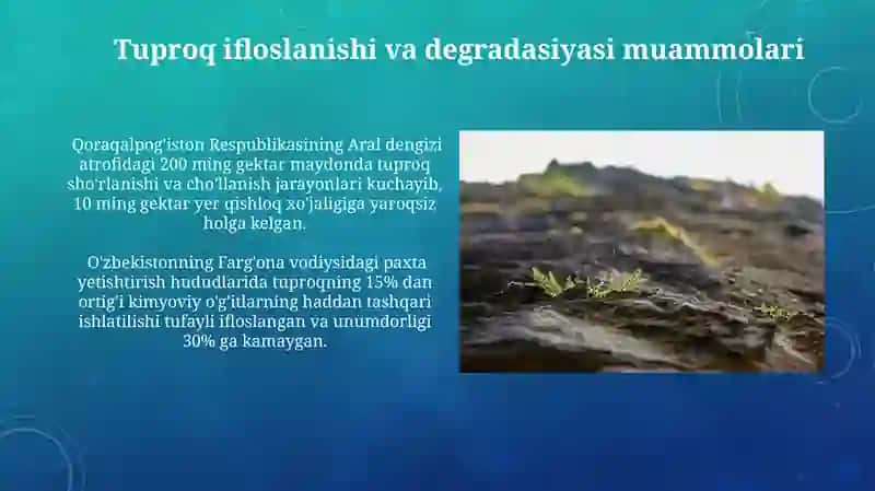Tuproqning ifloslanishi va tuproq degradatsiyasi muammolari 3