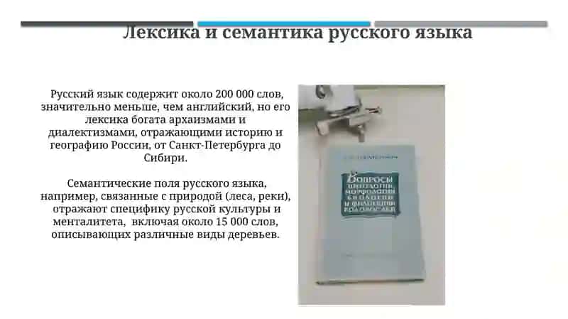 Русский язык среди других языков мира 3