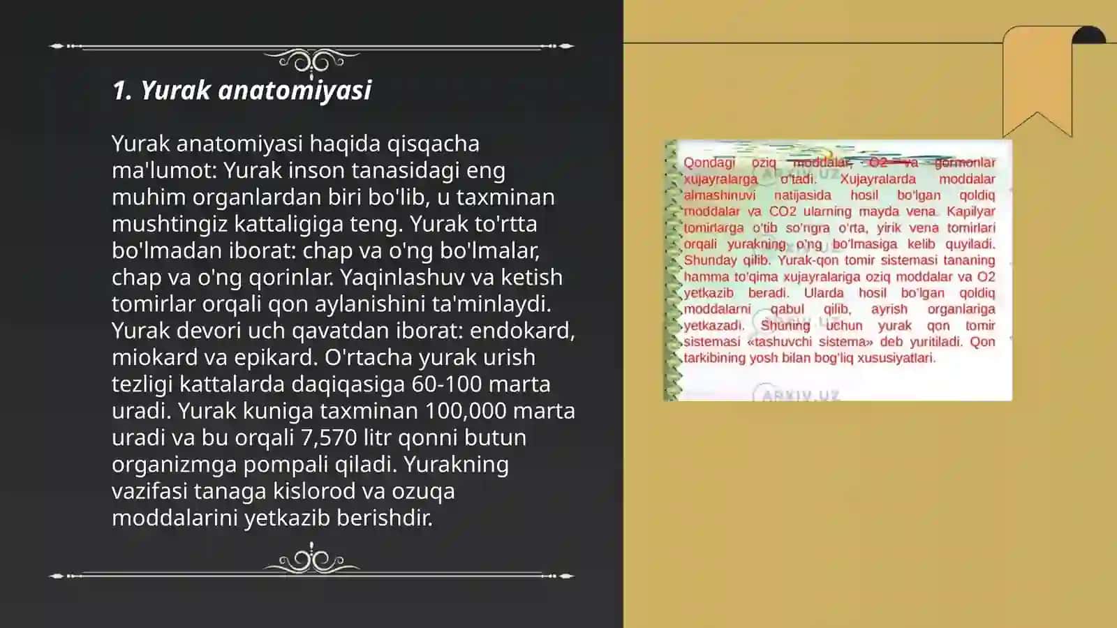 Yurak anatomiyasi 3
