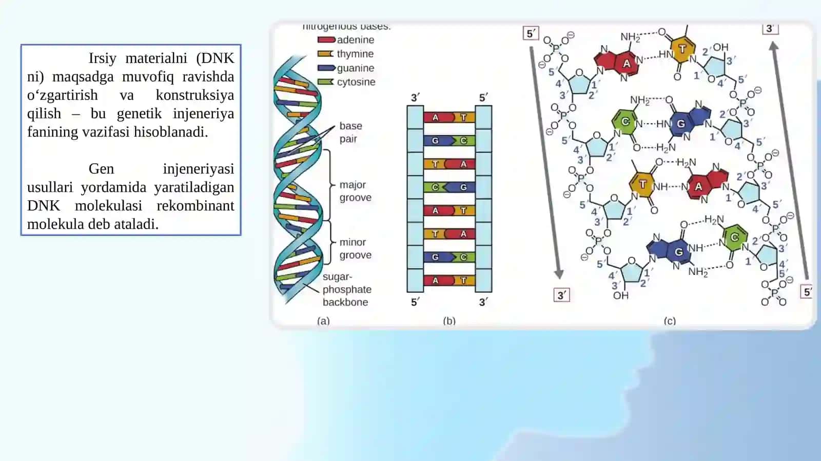 GEN INJENERIYA(GEN, XROMOSOMA VA HUJAYRA JENERIYASI MOHIYATI VA TARIXI 3