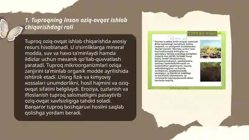 Tuproqning inson hayotidagi roll. Tuproq sifati va oziq ovqat xavfsizligi. 3