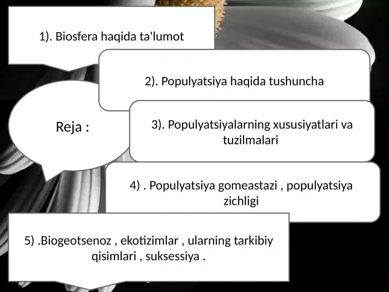 Umumiy ekalogiya fanidan Slayd namoyishi 3