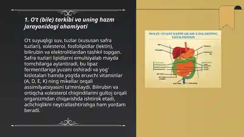 Oʻtning hazm jarayonida ishtiroki 3