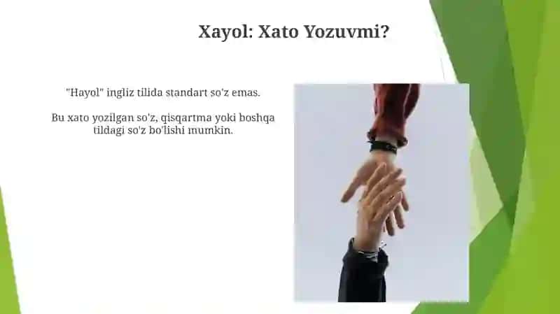 Hayol 3