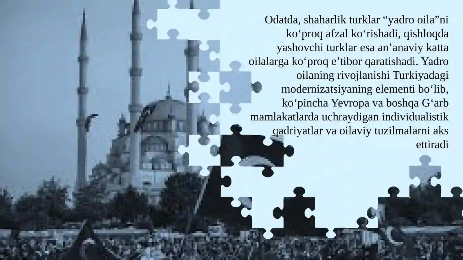 Oilalarni ijtimoiy himoya qilishning   Turkiya davlati tajribasi 3
