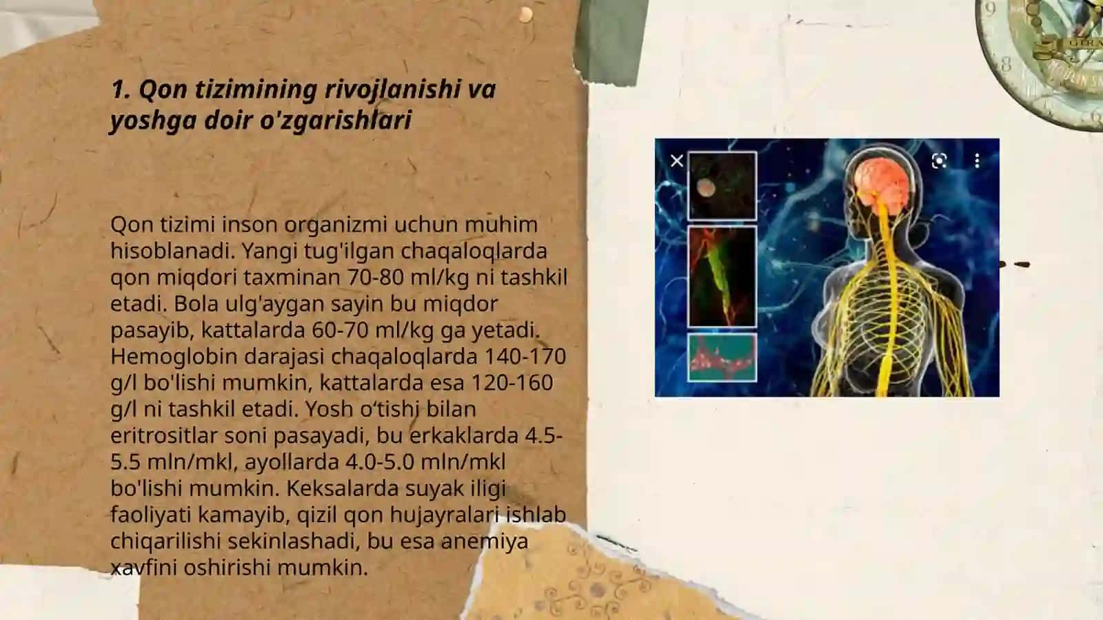 Qon tizimining yoshga doir fiziologiyasi va gigiyenasi 3