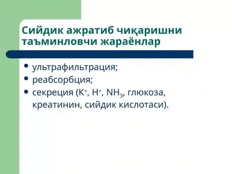Буйраклар патофизиологияси 3