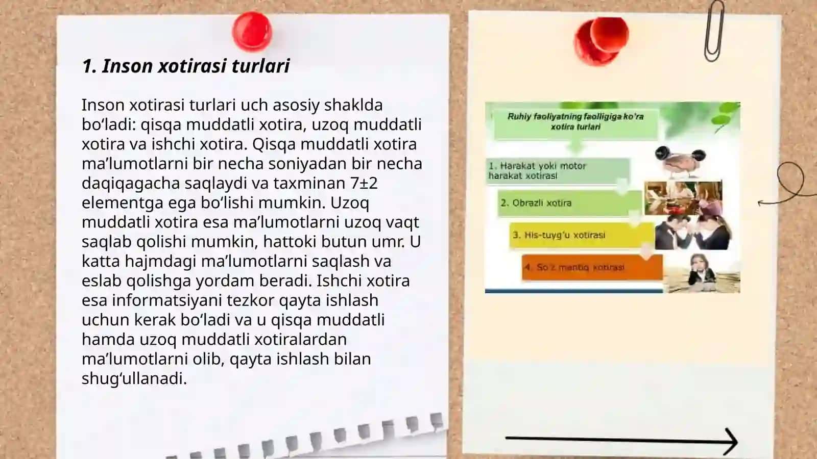 Inson xotirasi boʻyicha taqdimot 3