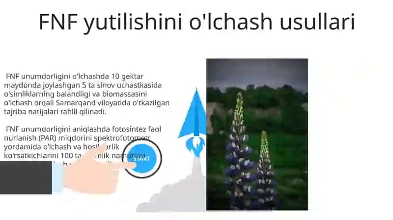 FNF yutilishi 3