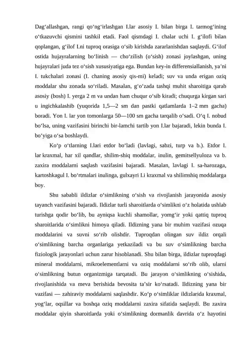 Ildiz va uning vazifalari 3