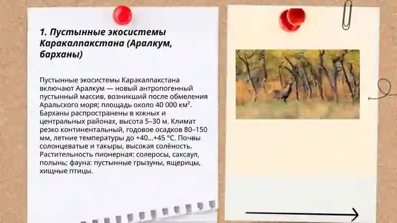 Природные экосистемы Каракалпакстана 3