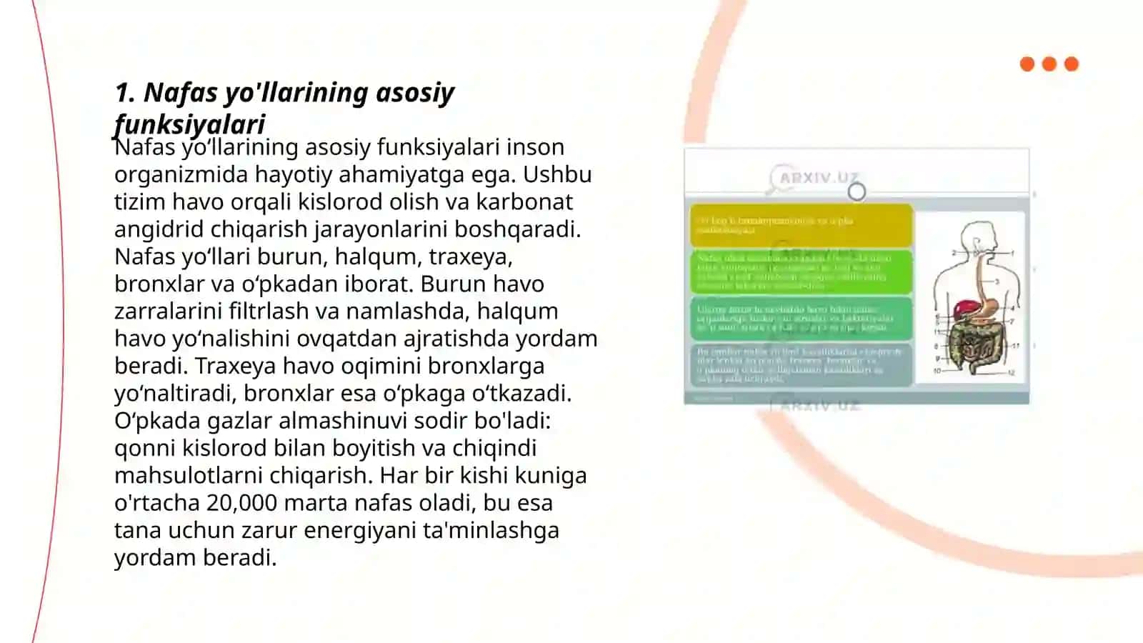 Nafas yõllariga kiruvchi a'zolarning tuzilishi joylashishi 3