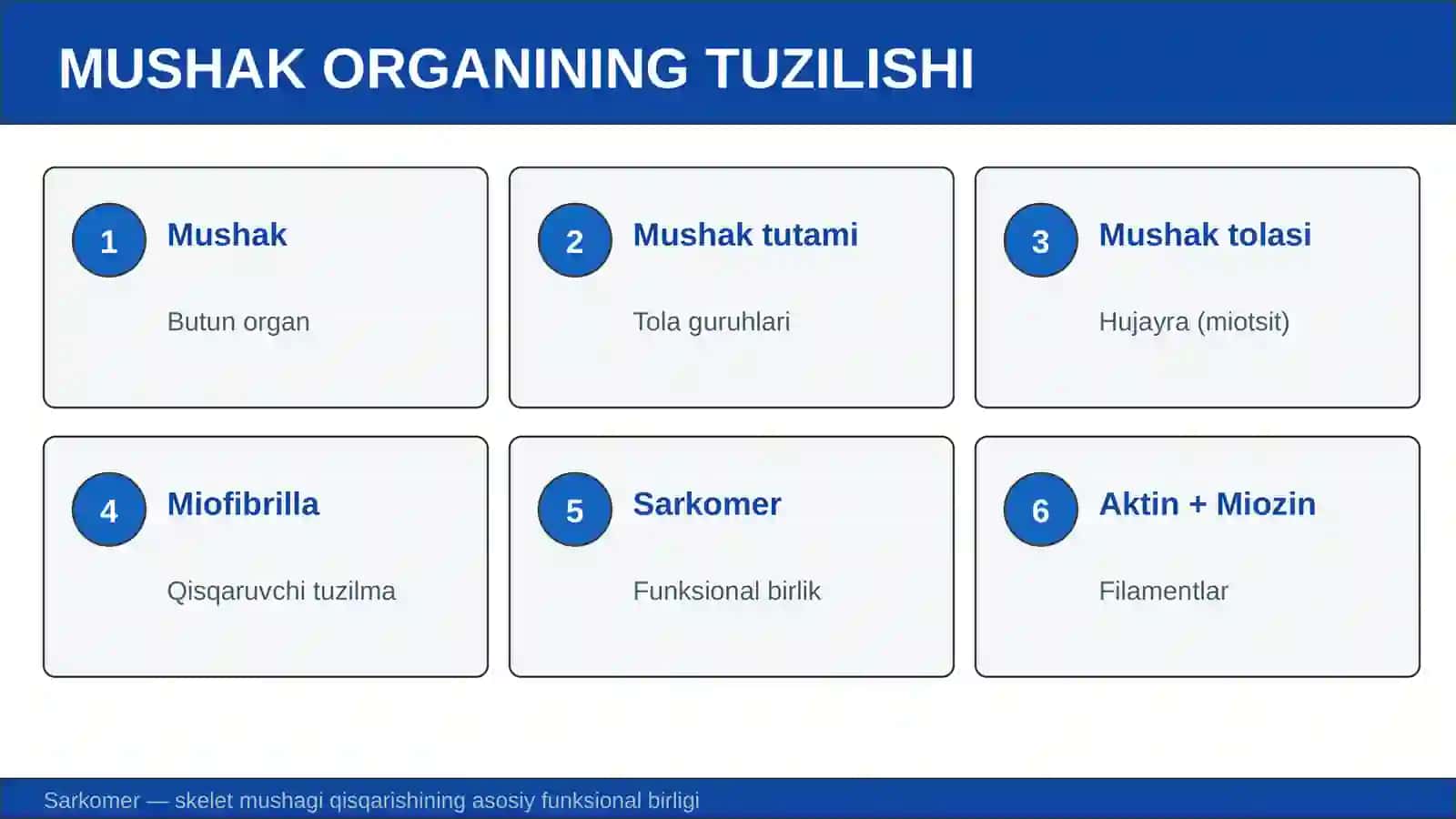 MUSHAKLARNING TUZILISHI VA ISHINING UMUMIY PRINSIPLARI 3