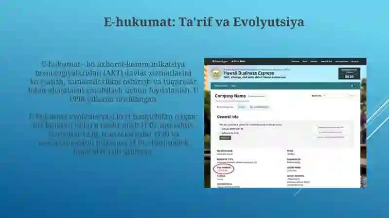 E-hukumat: Ta'rif va Evolyutsiya 3