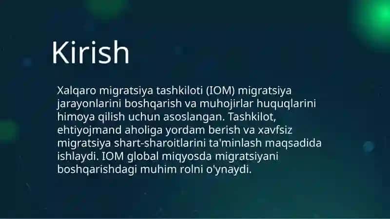 Xalqaro migratsiya tashkiloti 3