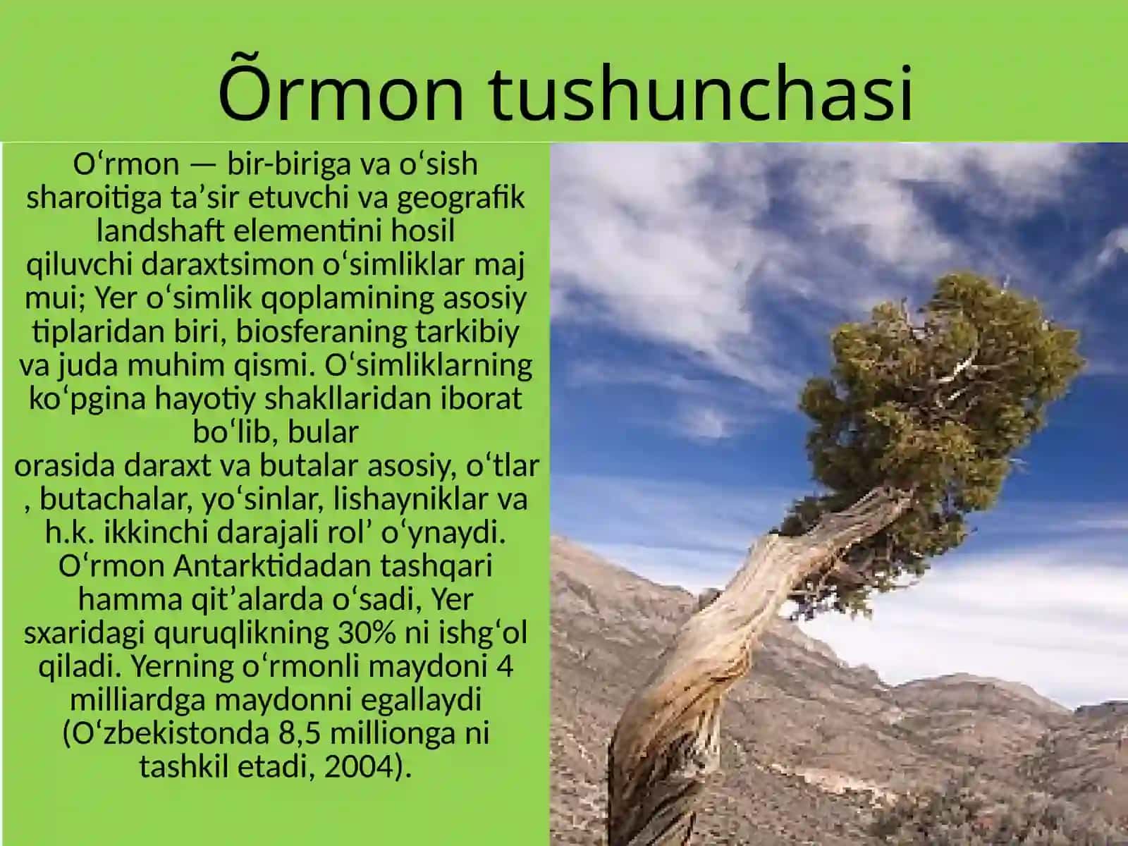 Oʻrmondan foydalanish va muhofaza qilish 3
