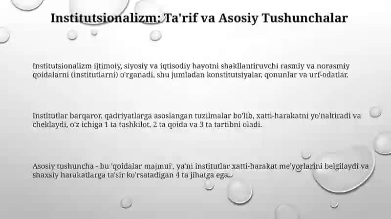 Institutsionalizm yonalishi 3