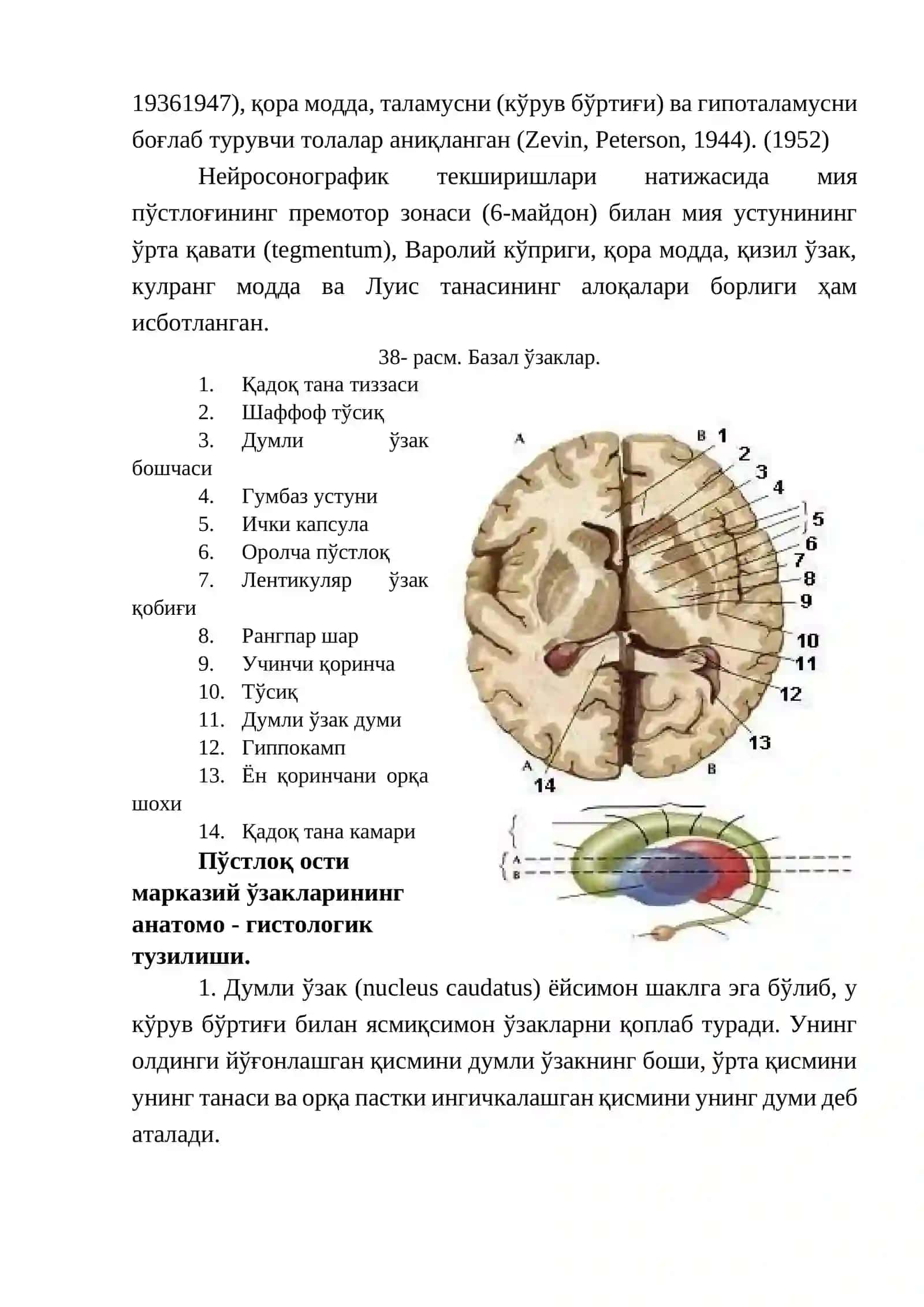 Экстрапирамида тизими 3