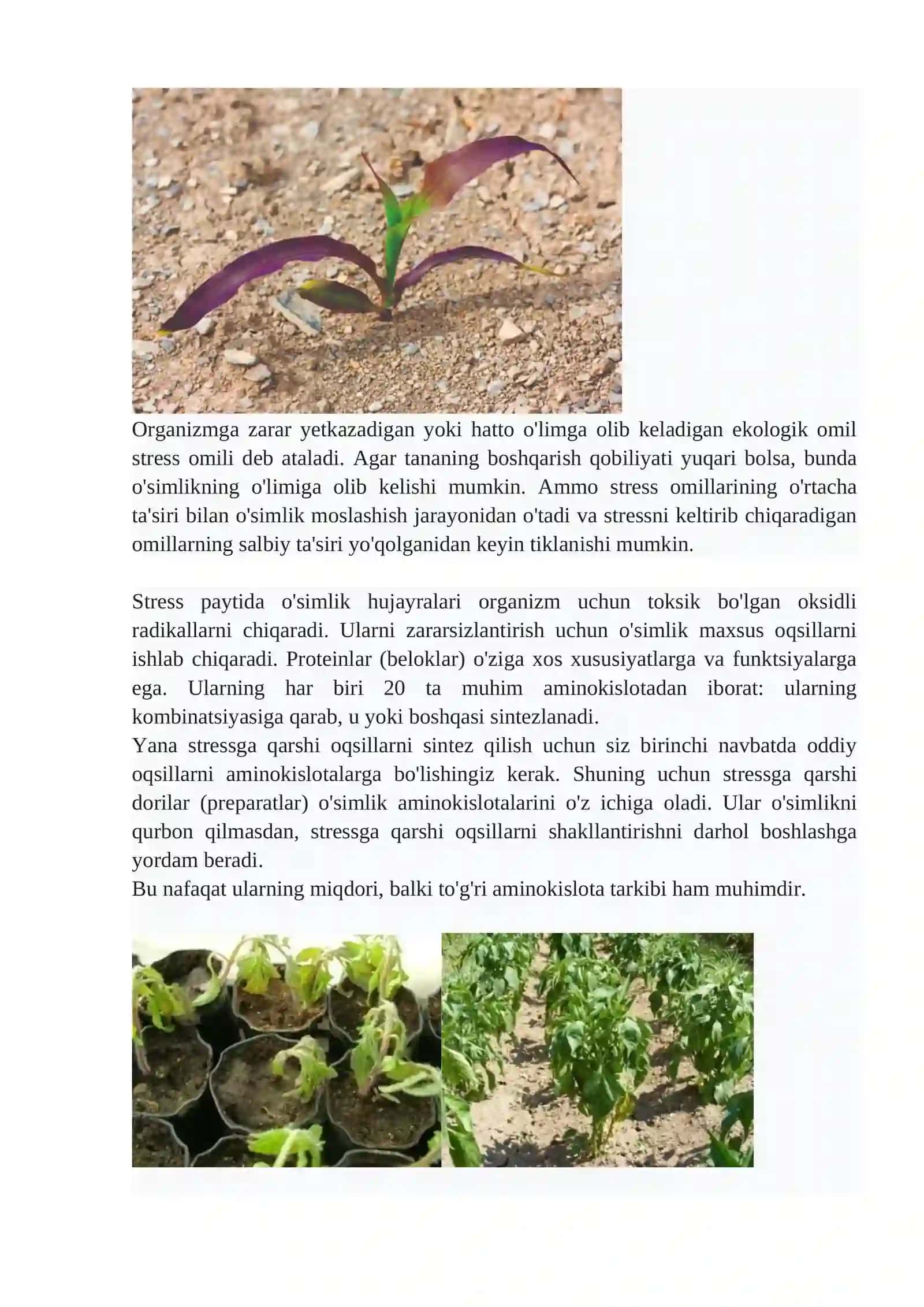 Steress omillar va ularga o‘simliklarning javob reaksiyalari 3