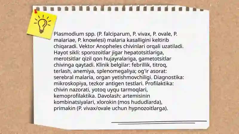 Sodda jonivorlar va gelmentlar qo'zg'atuvchi kasalliklar 3