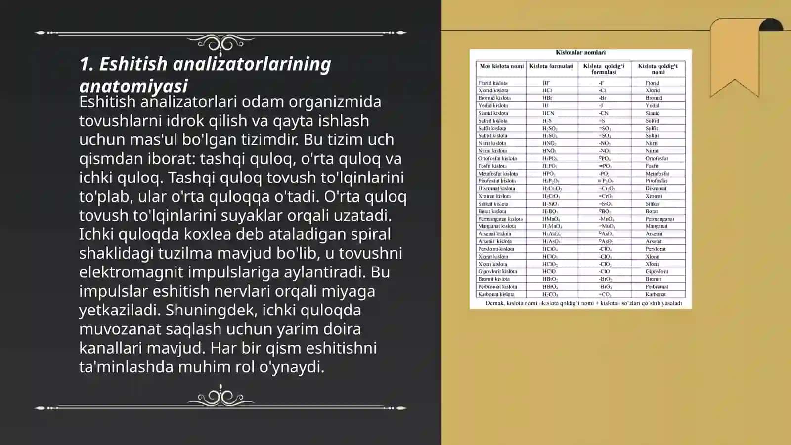 Eshitish analizatorlati anatomiyasi 3