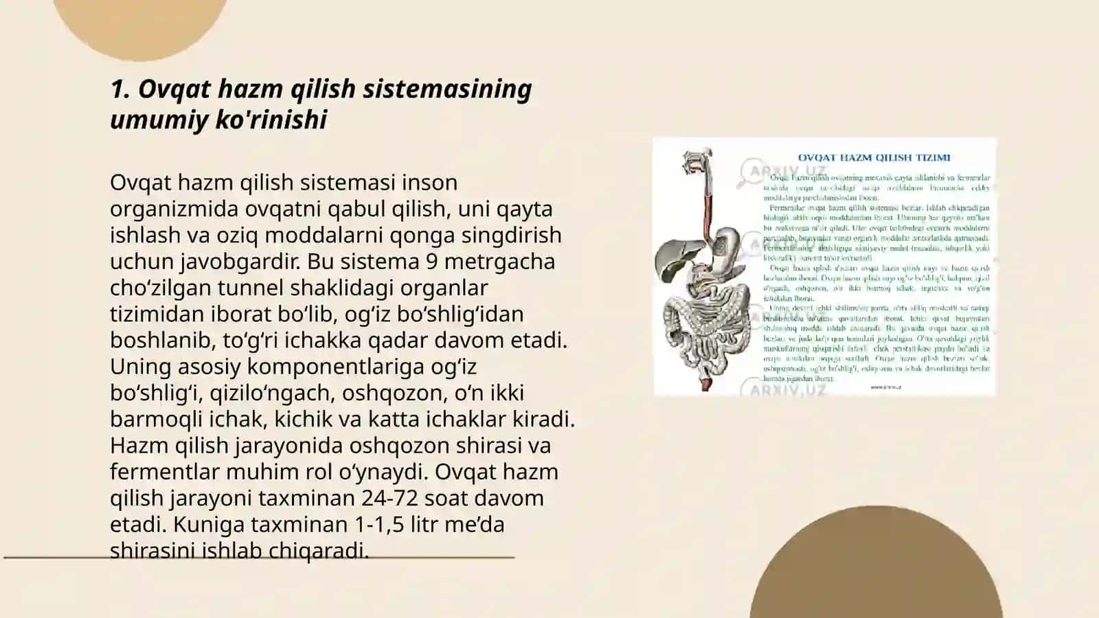 Ovqat hazm qilish sistemasi va ularning shakllanishi 3