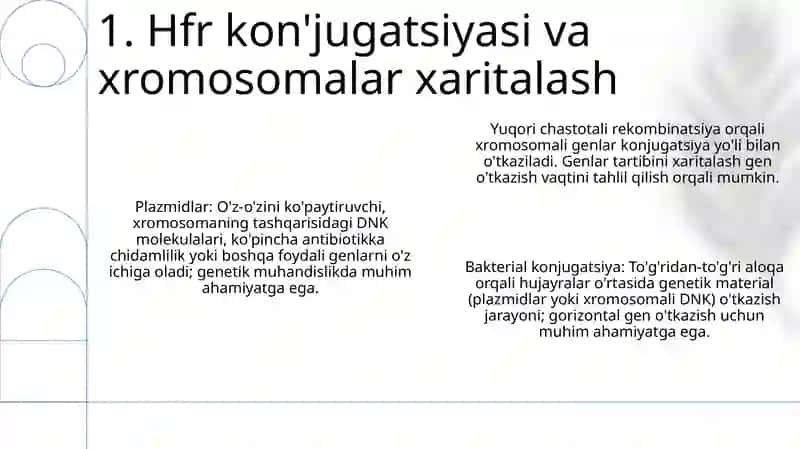 Konyugasiya. Plazmidlar. Biotexnologiya haqida tushuncha 3