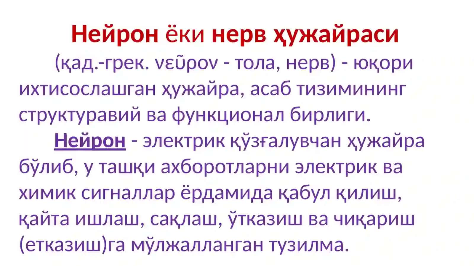 Нейронлар, нерв толалари, синапслар ва мускул (мушак)лар физиологияси 3