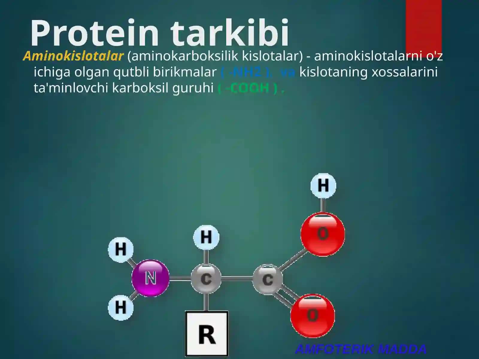 Proteinlar 3
