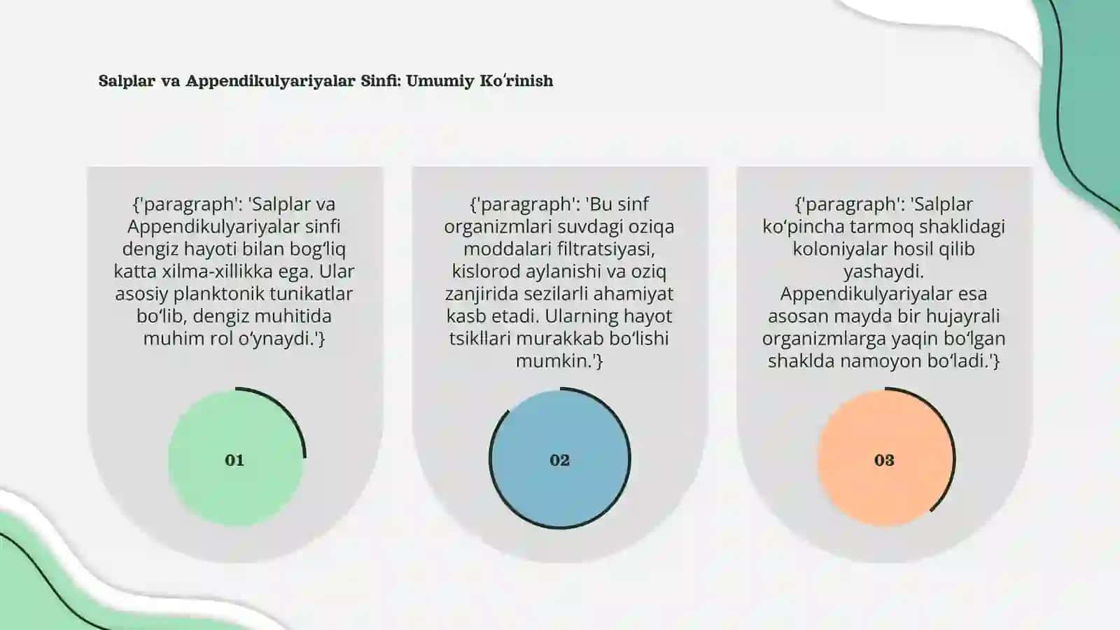 Salplar va Appendikulyariyalar Sinfi 3