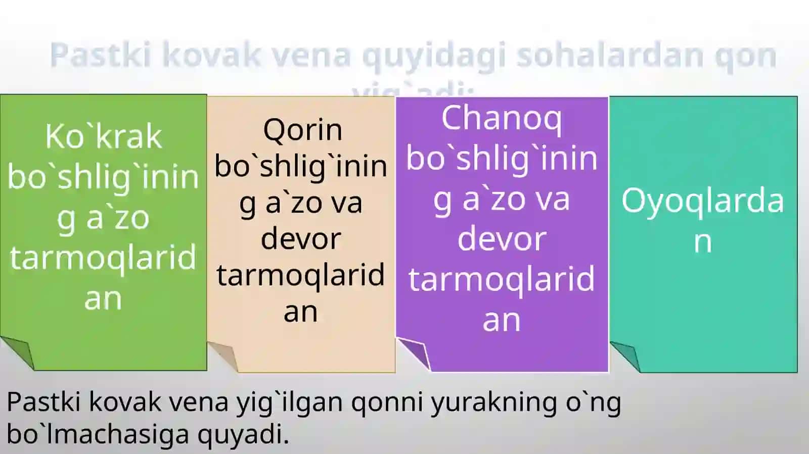 Pastki kovak Vena. Venalar orasidagi anastomozlar 3
