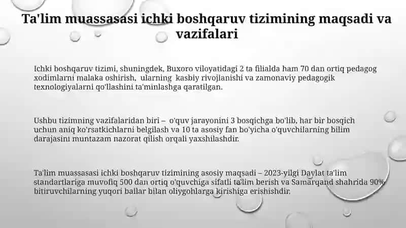 Ichki boshqaruv tizimi 3