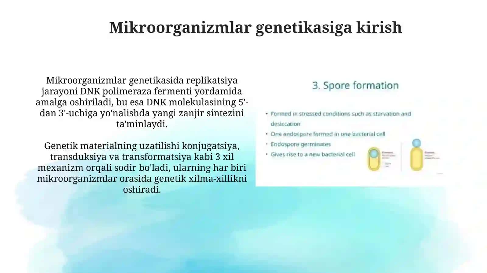 Mikroorganizmlargenetikasi,ko’payishi 3