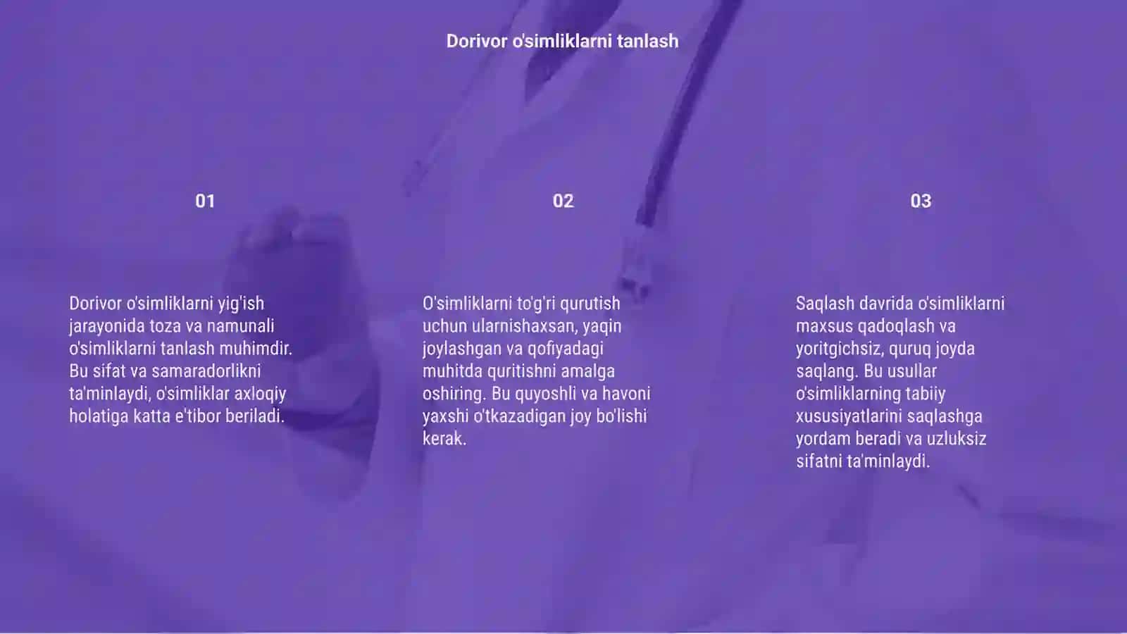 Dorivor o'simliklarni yig'ish qurutish saqlash 3