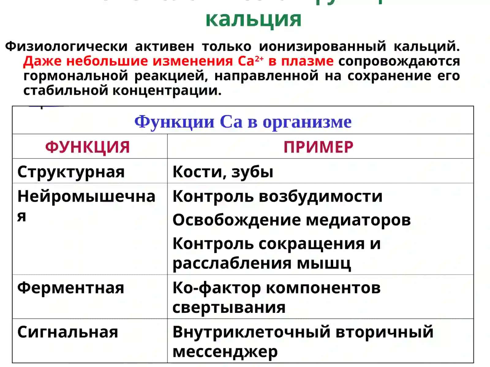 Обмен кальция в организме 3