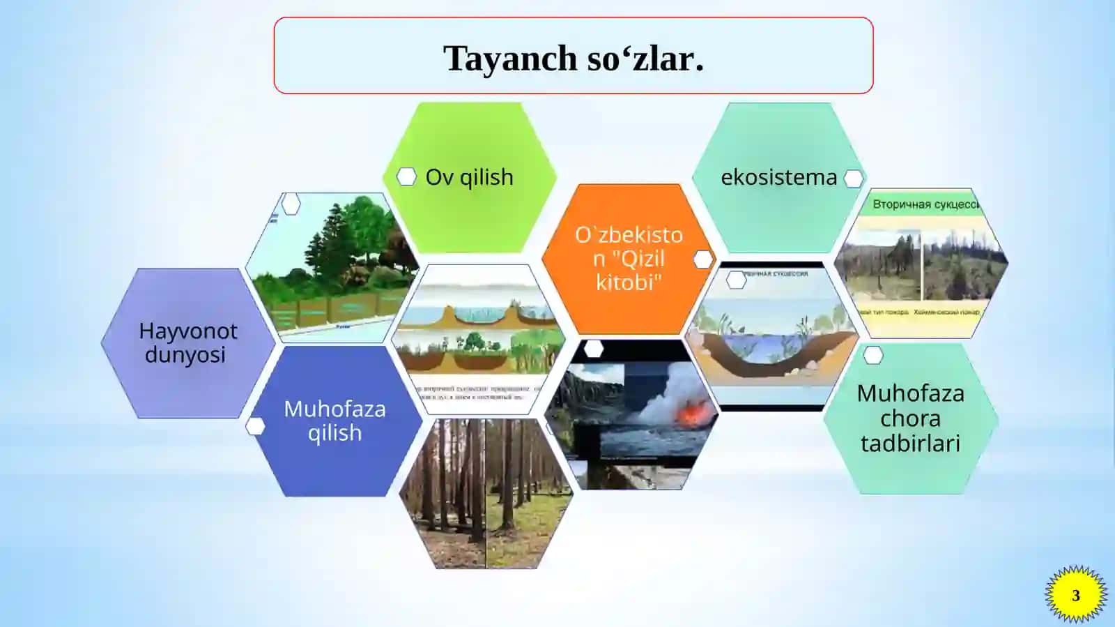 Landshaftlarga sanoat, tarnsport vositalarining ta’siri, tabiatni o‘zlashtirish tufayli kelib chiqadigan muammolar 3