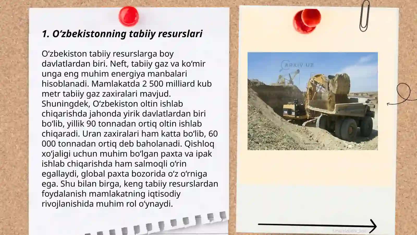 Oʻzbekiston xom-ashyo bazasi va sanoatda ishlatilishi 3