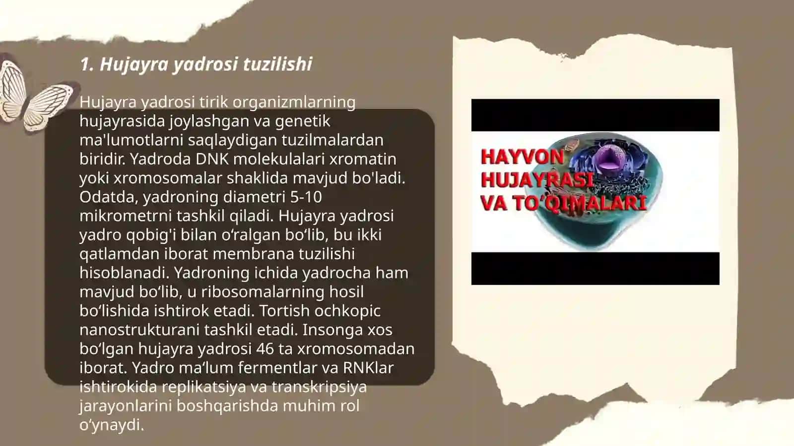 Hujayra yadrosi va hayvon toʻqimalari 3