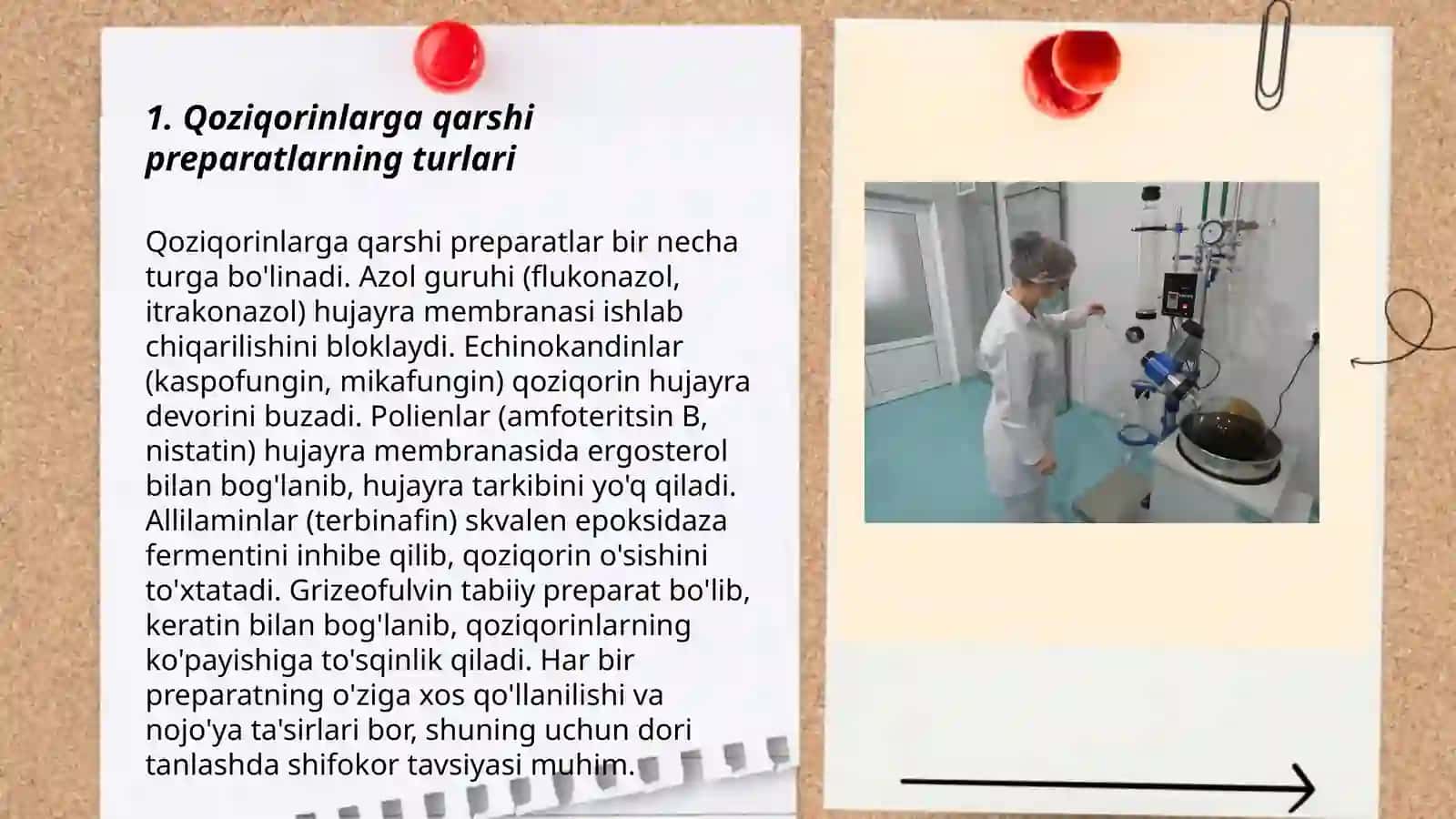 Qoziqorinlarga qarshi preparatlarning qo’llanilishi 3