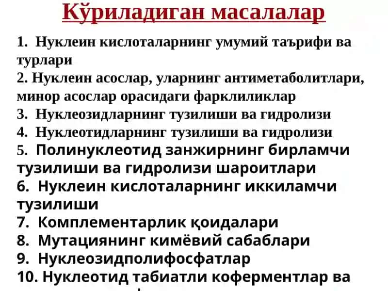 Нуклеин кислоталар тузилиши ва функциялари 3