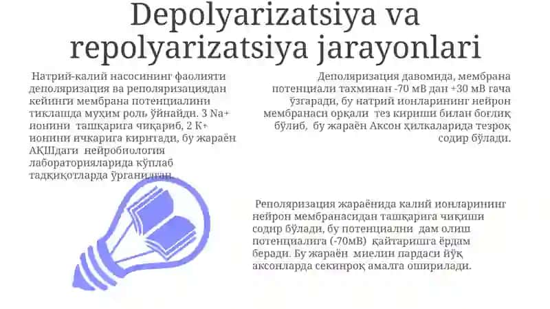 Neyronlarda nerv impulslarini hosil boʻlishi mexanizmlari 3